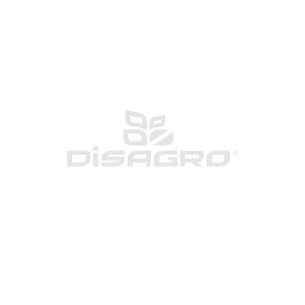 Disagro cliente Diseño Estratégico